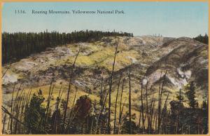 Yellowstone National Park, WYO., Roaring Mountains - 