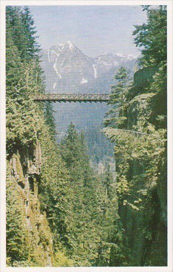 No 105 Capilano Suspension Bridge Bristish Columbia Canada