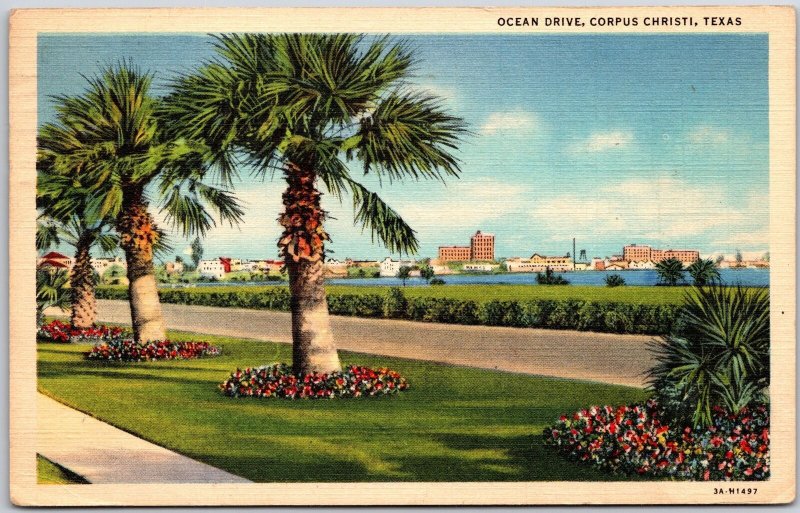 Corpus Christi Texas, 1945 Ocean Drive, Pathway, Seaside, Palm Trees, Postcard