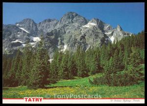 TATRY - W Doline Rybiego Potoku