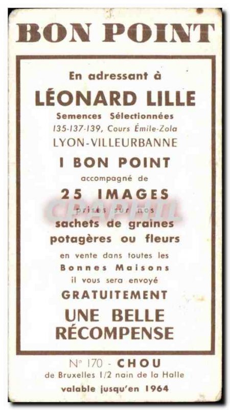 Image Flowers Leonard Lille Chou