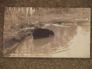 RPPC, Having a Drink, Seney, Michigan, used vintage card