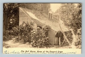 Concord MA-Massachusetts, Bull House, Concord Grape Home, Vintage c1939 Postcard