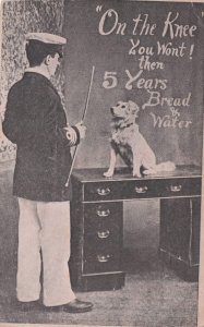 Dog Circus Military Animal Trainer Old Comic Postcard