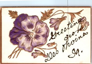 c1910s Des Moines IA Greetings Embossed Crushed Mica Glitter Powder Postcard A65