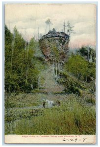 c1910 Pulpit Rock Canisteo Valley Canisteo New York NY Vintage Antique Postcard