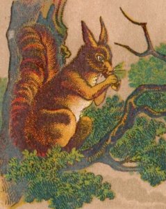 1880s Victorian Religious Trade Card Poem & Adorable Squirrel F145