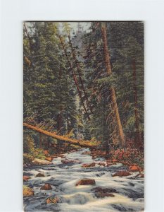Postcard A Mountain Stream In The Southwest
