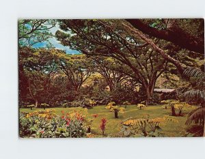 Postcard Waioli Tea Room Payne Garden Manoa Valley Honolulu Hawaii USA