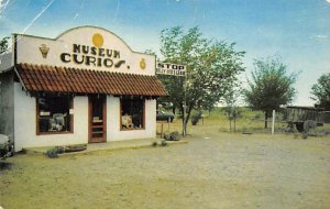 Museum and Curio Shop 7 miles southeast of Fort Sumner - Fort Sumner, New Mex...