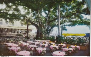 Mona Hotel, Hawaii, 1950-60s; Banyan Court Lanai