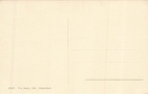 Vintage Montricher Le Château Switzerland Divided Back Postcard