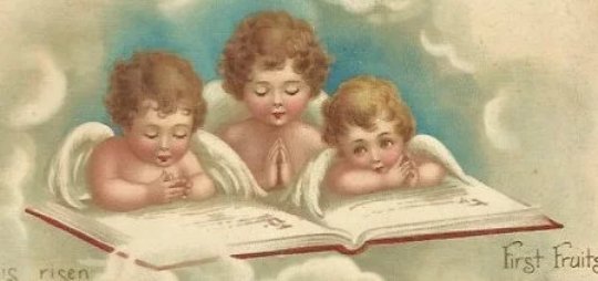 Little Cherubs Reading Bible Vintage Postcard Easter Greeting