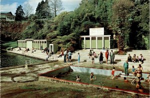 Healing waters of Crystal Springs, Matamata, New Zealand.! postcard