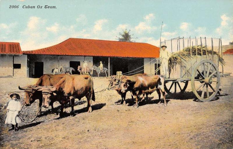 Cuba Ox Team Farmer Carriage Cattle Children Cart Antique Postcard K12926