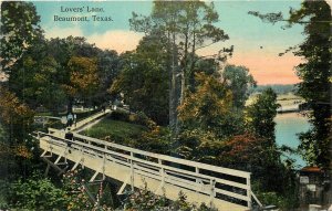 1917 Beaumont Texas Lover's L:ane Hick's Bookstore Postcard 25-12082