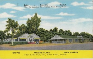 INDIAN ROCKS Florida 30-40s Groves Packing Plant Palm Garden