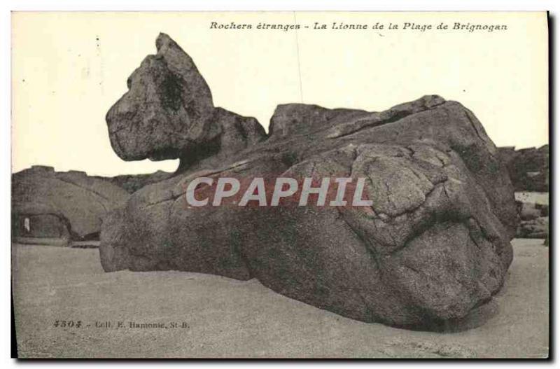 Old Postcard The lioness of the beach Brignogan