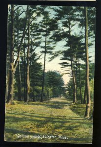 Abington, Massachusetts/Mass/MA Postcard, Island Grove, 1910!