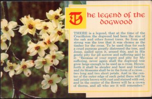 The Legend of the DOGWOOD White Flowers - Chrome