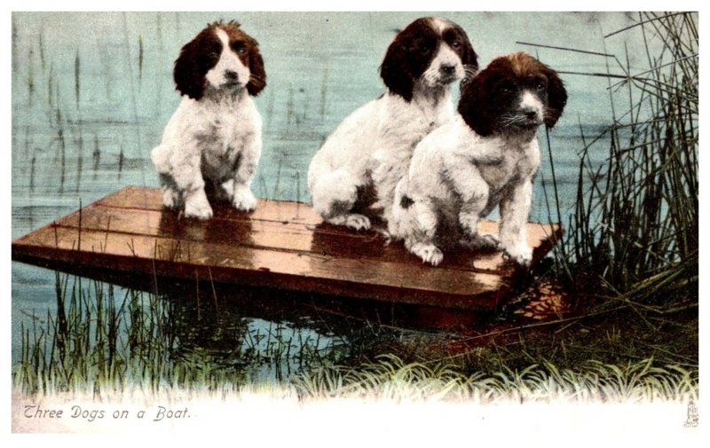 Dog , 3 puppies  on a dock