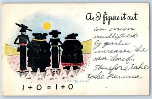 1906 Humor Fat Women And Thin Women As I Figure It Out Pottsville PA Postcard