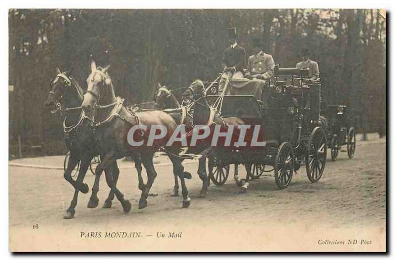 Old Postcard A Socialite Paris Mail Horses