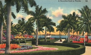 Vintage Postcard 1940's Beautiful Palm Studded Parks Flowers Shrubs Florida FL