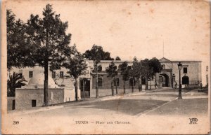 Tunisia Tunis Place aux Chevaux Vintage Postcard C177