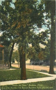 Michigan Jackson Under the Oaks National Republican Day Postcard 22-9274