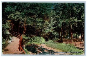 c1910 Near To Natures Heart Victoria Park Nova Scotia Canada Antique Postcard