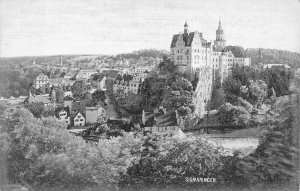 L342 Germany Sigmaringen Castle vintage postcard