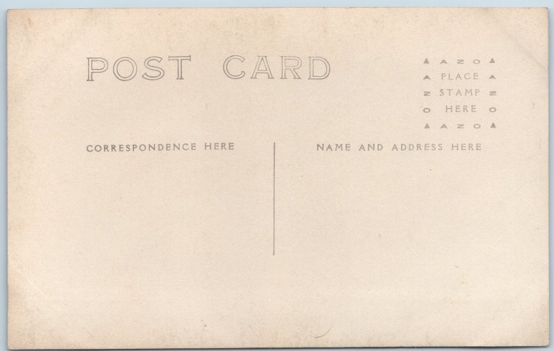 c1900s Waverly, IA Free Public Library RPPC Building Architecture Carnegie Photo