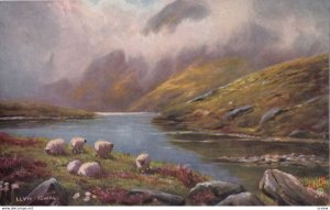 Llyn Idwal, 1900-10s; TUCK 8542