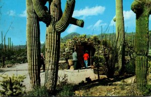 Arizona Tucson Arizona Sonora Desert Museum Tunnel Entrance 1967