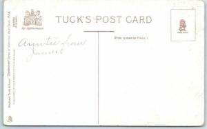 2 Postcards  TUCK VALENTINE Leatherette  Series - ca 1910s  Romantic