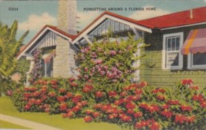 Florida Flowers Poinsettias Around A Florida Home 1941