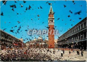Modern Postcard Venezia St. Mark volee pigeons