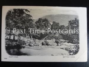 c1902 - Pont-Y-Pair - Bettws-t-Coed - Undivided Back
