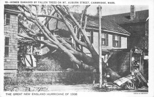 CMBRIDGE MASSACHUSETTS NEW ENGLAND HURRICANE DISASTER MOXIE AD POSTCARD (1938)