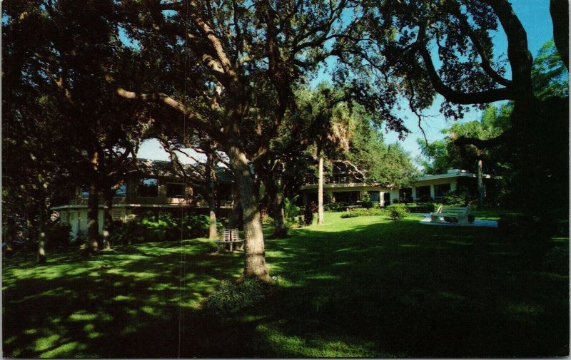 Vtg Clearwater Florida FL Siple's Garden Seat Restaurant Postcard