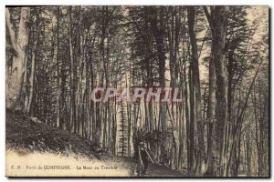 Old Postcard Tree Forest of Compiegne Le Mont du Tremble
