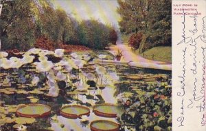 Illinois Chicago Lily Pond In Washington Park 1910