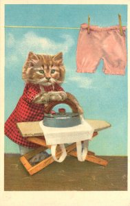Postcard Dressed Tabby Kitten Does The Ironing Swiss Mainzer 9469