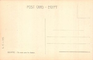 C046 Egypt  En Route for the fields camels vintage postcard