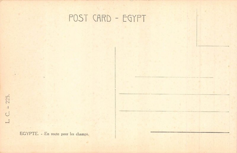C046 Egypt  En Route for the fields camels vintage postcard