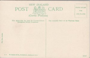 Wellesley Street Auckland NZ New Zealand Opera House Unused Moa Postcard E69