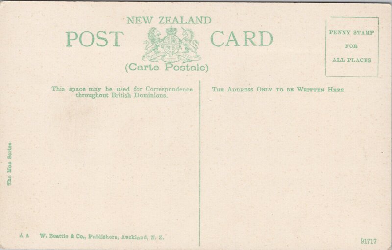 Wellesley Street Auckland NZ New Zealand Opera House Unused Moa Postcard E69