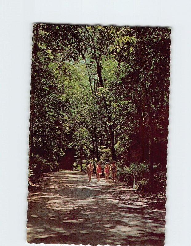 Postcard Fern Gully, Ocho Rios, Jamaica