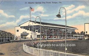 Sulphur Springs Dog Track Tampa, Florida, FL, USA Dog Racing Postal Used Unkn...